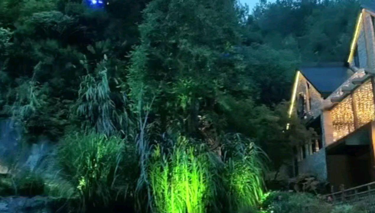 古怪猫咪逃脱